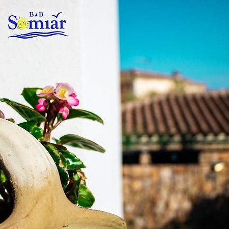 B&B Somiar San Teodoro  Exterior photo